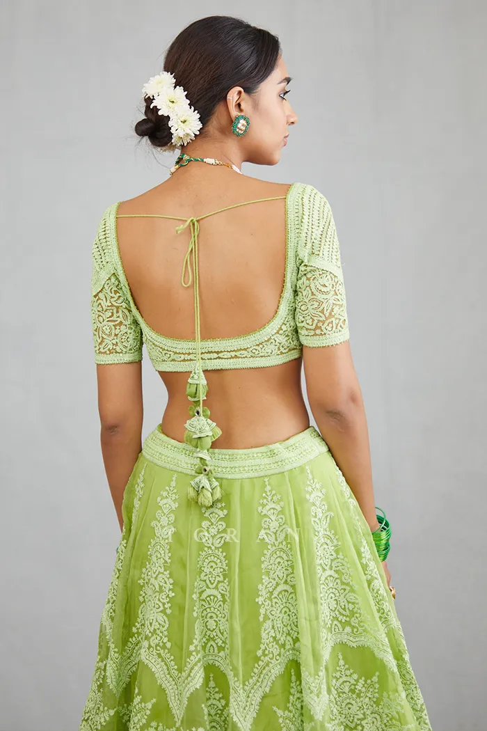 Angoori Meher Passa Blouse