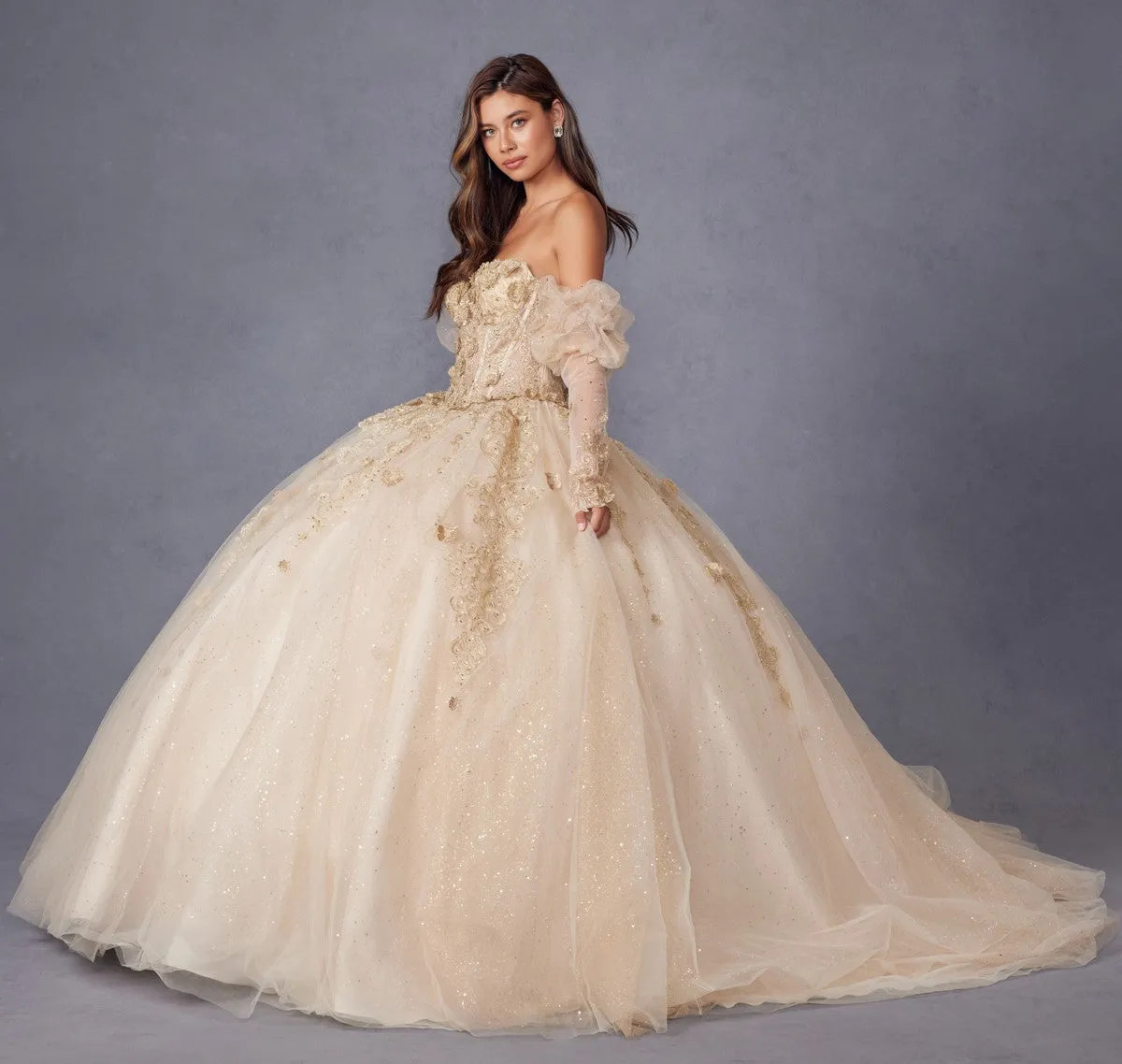 Juliet JT1465H Dress 3d Flowers Applique Puff Sleeve Quinceanera Dress