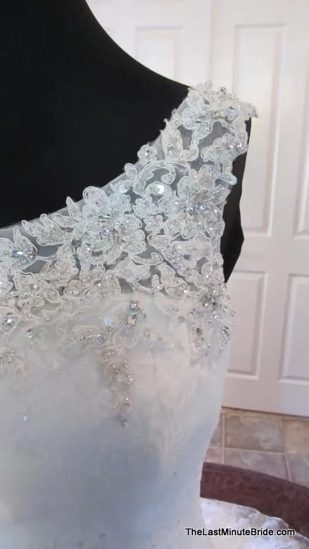 Sophia Tolli Wiress Y11328