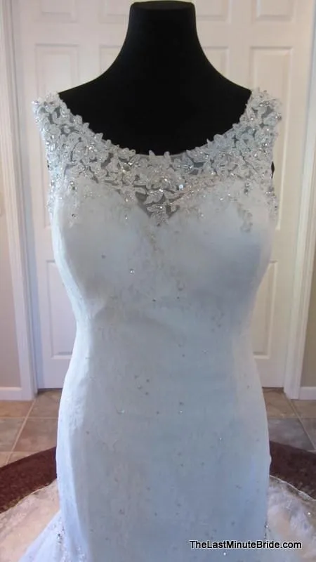 Sophia Tolli Wiress Y11328
