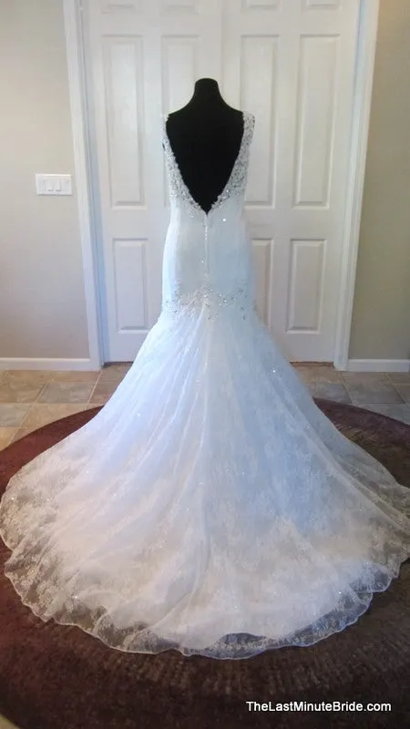 Sophia Tolli Wiress Y11328