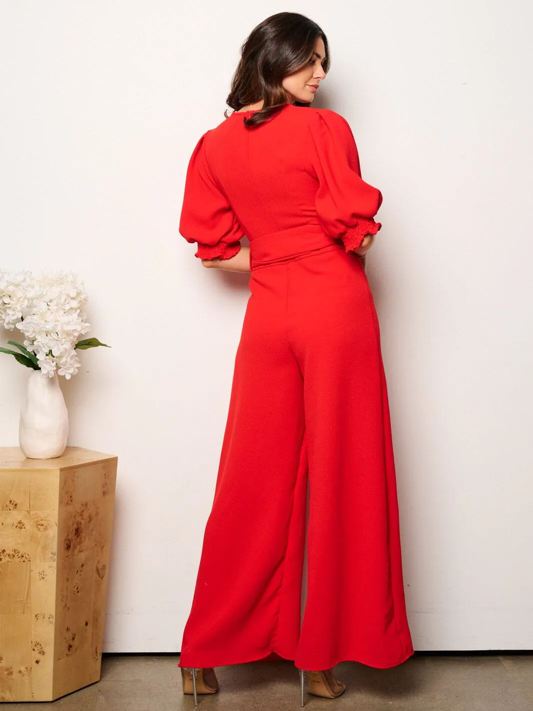 WOMEN'S SHORT SLEEVE V-NECK SELF TIE WIDE LEG JUMPSUIT
